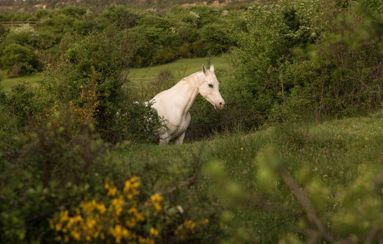Hospedaje Rural Casa Parri Poveda de la Sierra Екстериор снимка